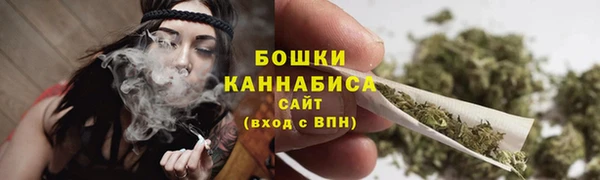 сатива Армянск