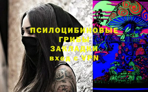 сатива Армянск