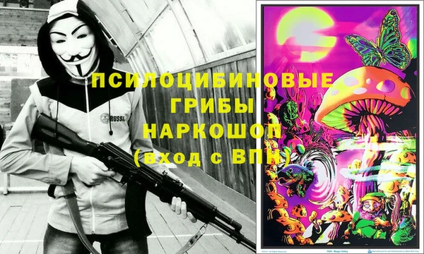 мяу мяу мука Арсеньев