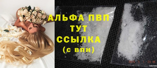 сатива Армянск