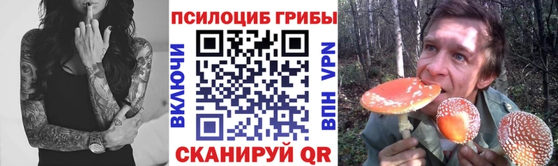 Псилоцибиновые грибы Magic Shrooms  Балашов 