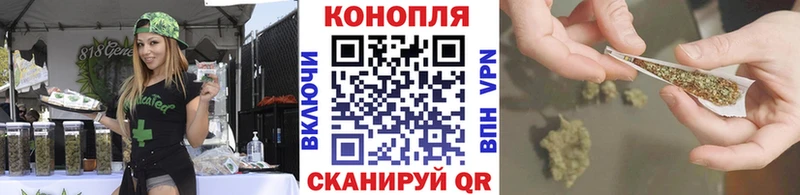 Бошки марихуана тримм  магазин  наркотиков  Балашов 